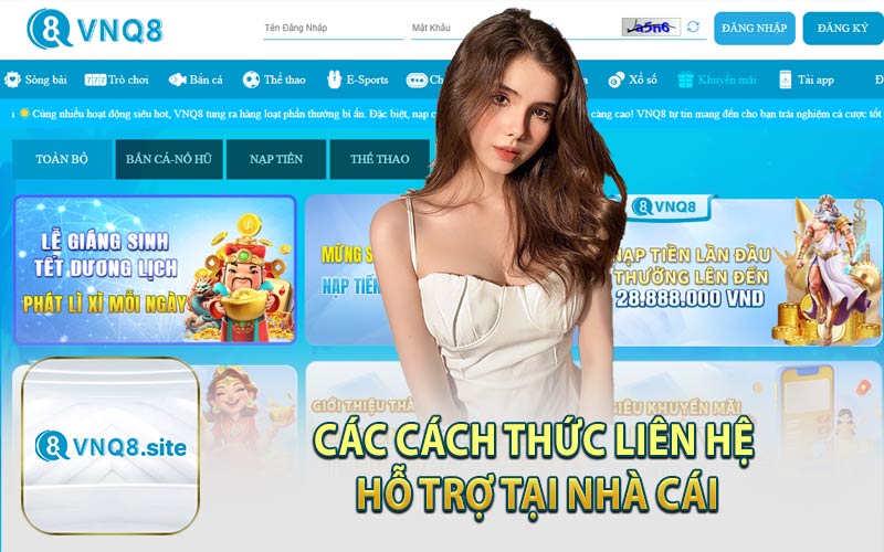 Các Cách Thức Liên Hệ Hỗ Trợ Tại Nhà Cái