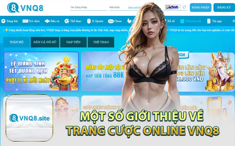 Một Số Giới Thiệu Về Trang Cược Online VNQ8