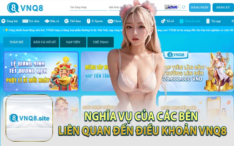 Nghĩa Vụ Của Các Bên Liên Quan Đến Điều Khoản VNQ8